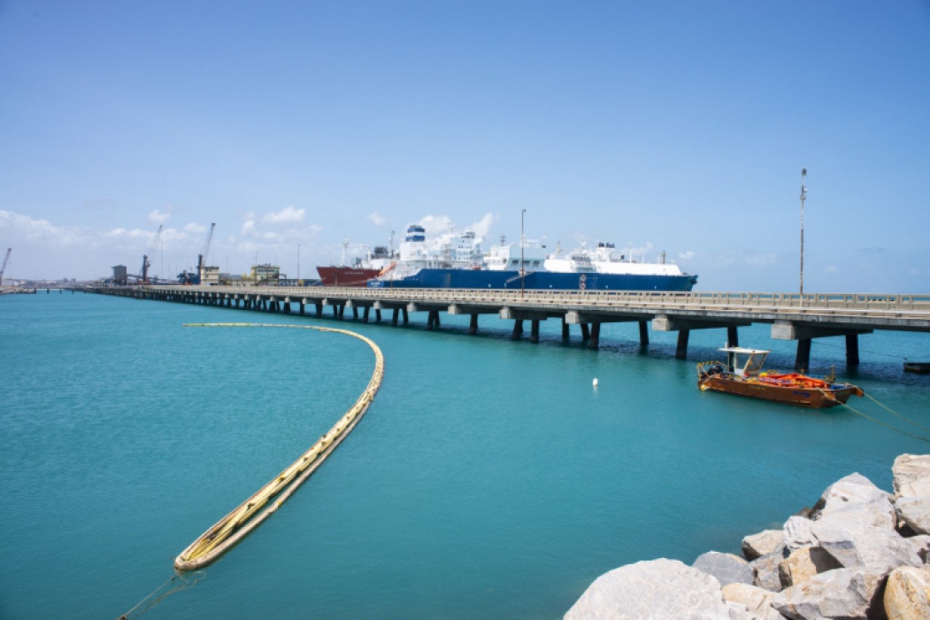  Porto do Pecém teve queda de movimentação geral de cargas nos cinco primeiros meses de 2020  (Foto: divulgação)