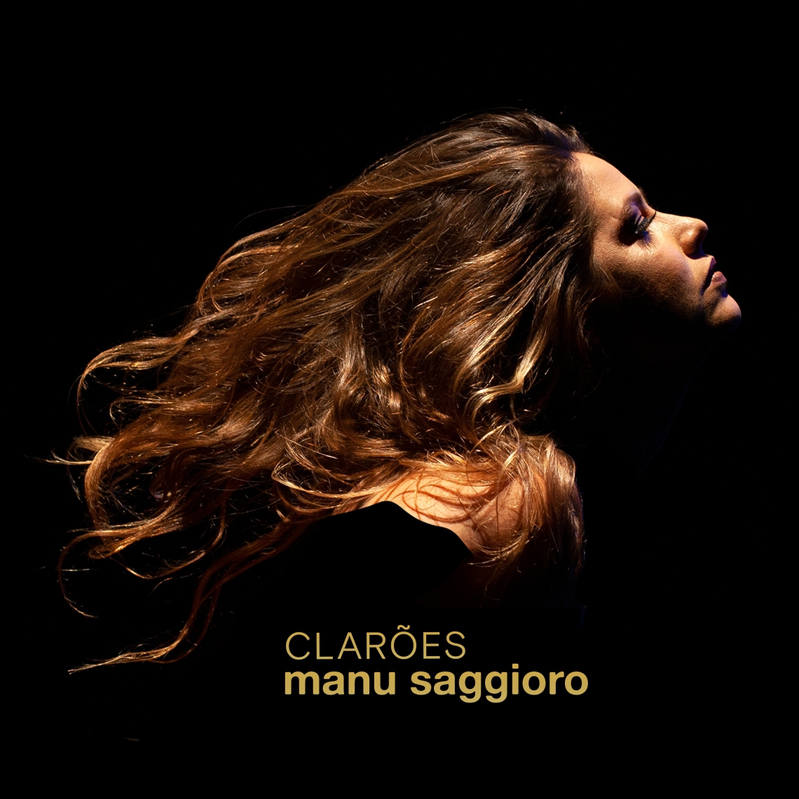 Capa do disco Clarões, de Manu Saggioro (Foto: Divulgação)