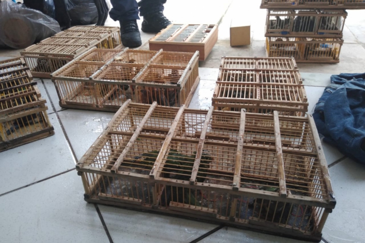 ￼NINGUÉM foi preso na ação realizada na Feira da Parangaba