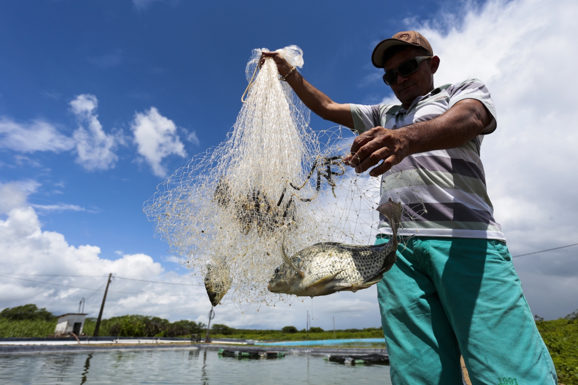 ￼ FRANCISCO Moreira também é secretário-geral do Conselho gestor do sistema  (Foto: tatiana fortes)