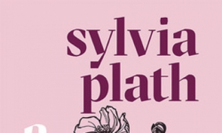 Capa do livro A Redoma de Vidro, da escritora Sylvia Plath