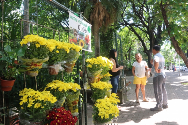 A Pra&ccedil;a das Flores, entre a avenida desembargador Moreira e a rua Barbosa de Freitas, no bairro Aldeota, foi adotada por uma empresa(foto: Mauri Melo)