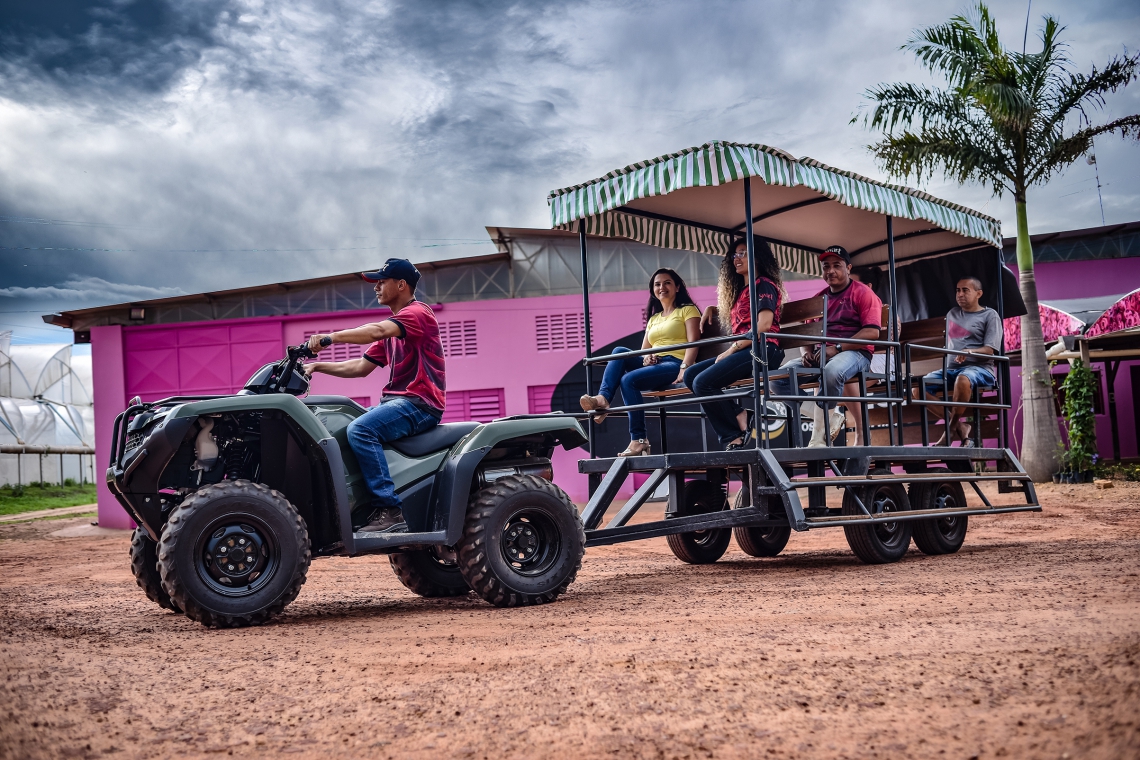 ￼VISITANTES pagam para fazer um tour e conhecer a produção de rosas da empresa (Foto: EUGENIOSILVA/DIVULGAÇÃO)