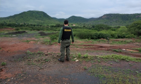 O POVO ONLINE  Portal de Notícias sobre o Ceará, Brasil e 