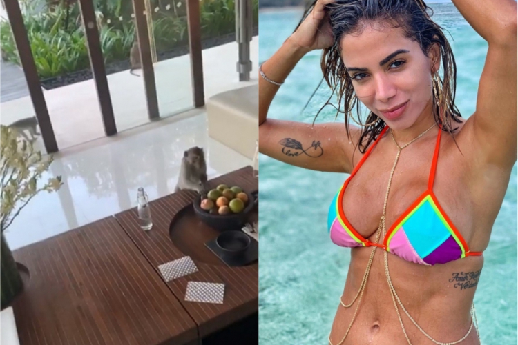 Mansão em que Anitta está hospedada é invadida por macacos.(foto: Reprodução/Instagram)
