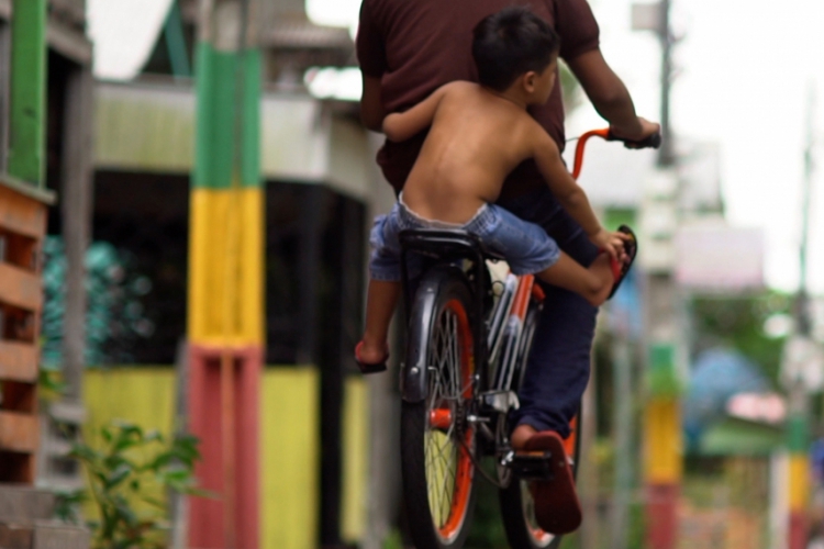 A obra busca os focos e motivos da resiliência do uso da bicicleta como meio de transporte, mesmo dentro de um cenário de tanta motorização
