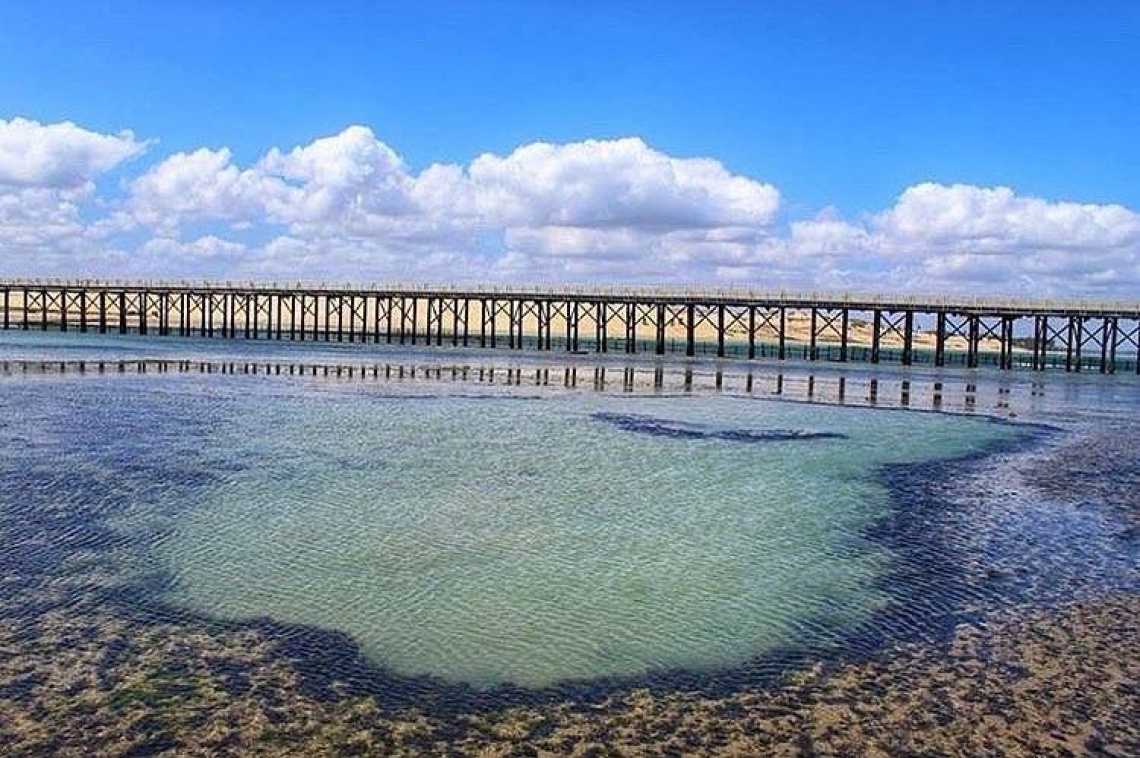 Foto: (DIVULGAÇÃO)