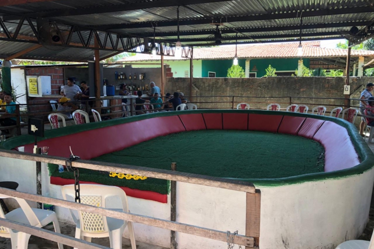 Cerca de 300 pessoas estavam no local, dois responsáveis e dois funcionários foram autuados