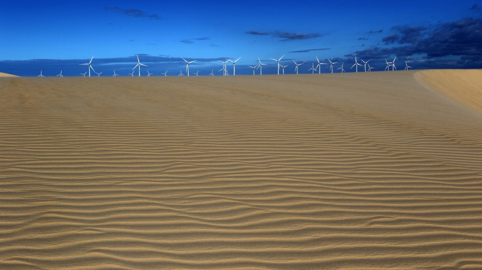 Maior perda do Ceará está nas usinas eólicas (Foto: Fabio Lima)