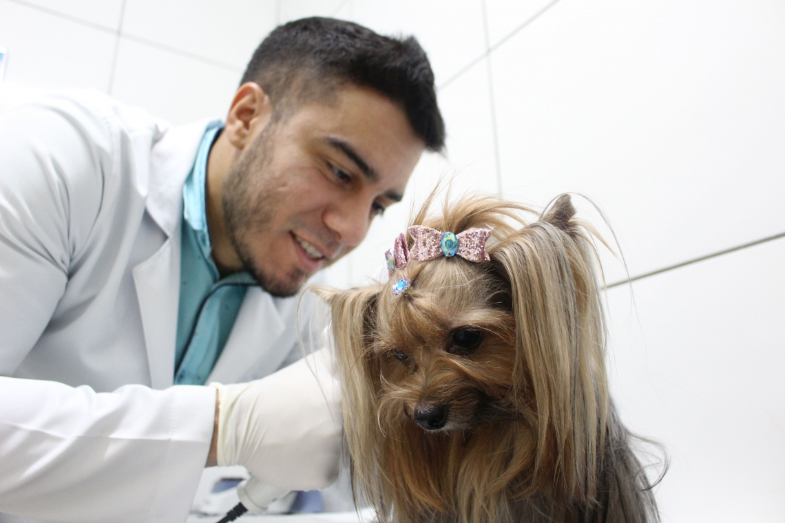 O veterinário Tiago Ferreira aponta que, cada vez mais, as pessoas tem optado por criar animais de estimação, para companhia ou até terapia (Foto: Deísa Garcêz/Especial para O Povo)