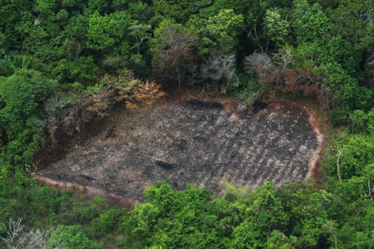 A pressão internacional é vista como uma esperança de barrar os retrocessos ...