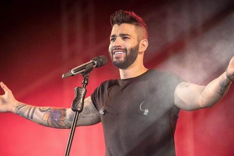 O sertanejo continuou com a apresentação após o incidente.(foto: Divulgação)