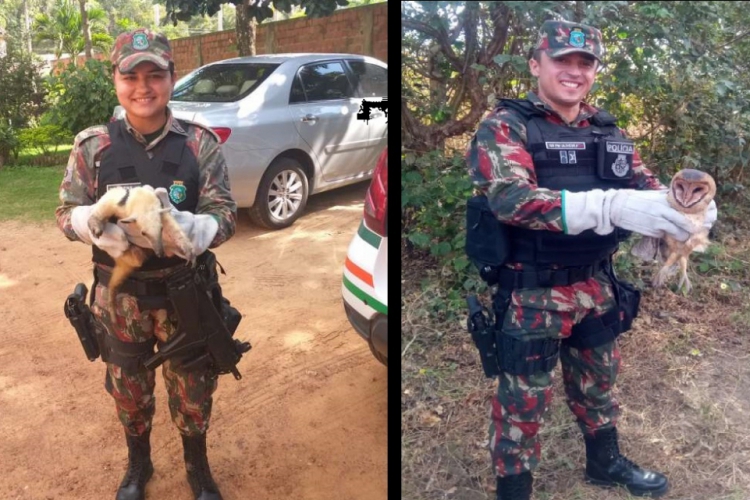 Batalhão de Polícia do Meio Ambiente (BPMA) da Polícia Militar do Ceará (PMCE) realizou diver...