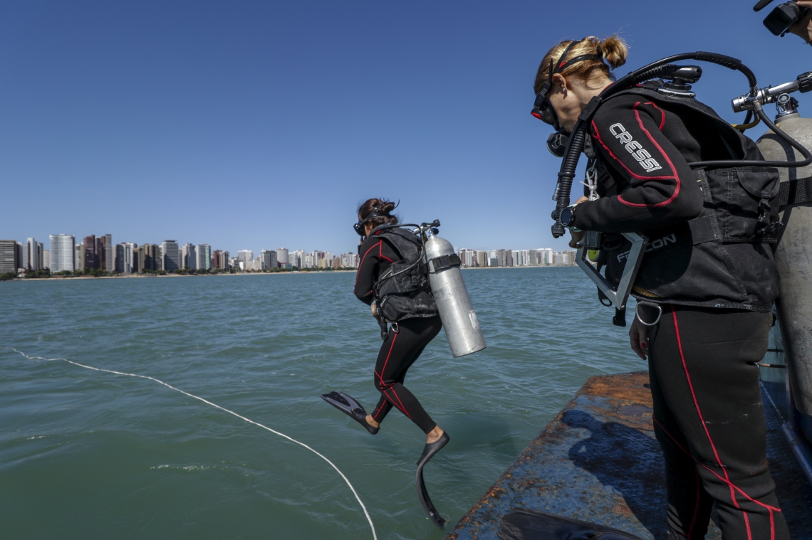 Pesquisadores mergulham em recifes para estudar espécies como peixes, corais e esponjas