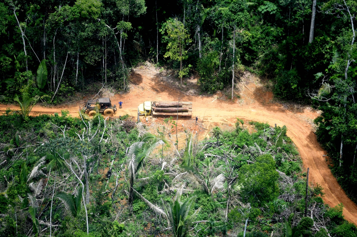 ￼Desmatamento é o maior problema ecológico no Brasil (Foto: CHICO BATATA/ GREENPEACE)
