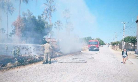 Os incêndios em vegetação foram contidos pelo quartel de Limoeiro do Norte do Batalhão de Bombeiros Militares 