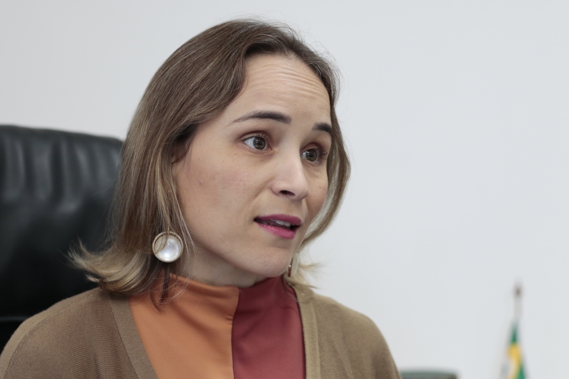 Fernanda Pacobahyba, secretária da Fazenda do Ceará, contestou também que o ICMS seja o fator que mais tenha influído nas recentes altas de preços dos combustíveis (Foto: O POVO)