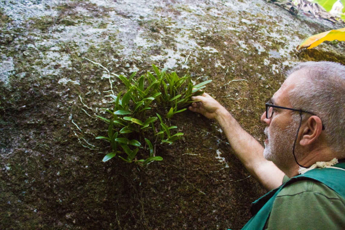 Roberto Otoch e a Trigonidium acuminatum na expedição de agosto de 2019
