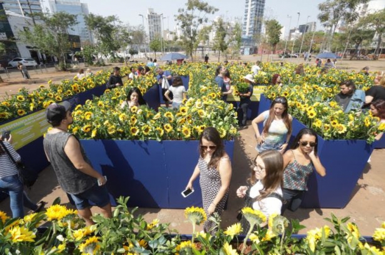 Labirinto de Girassóis, uma das ações da campanha realizadas em metrópoles brasileiras.