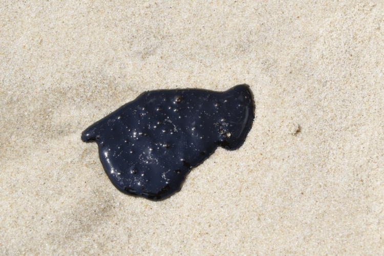 Força-tarefa recolhe resíduos de petróleo cru na praia da Cofeco, na regi&at...