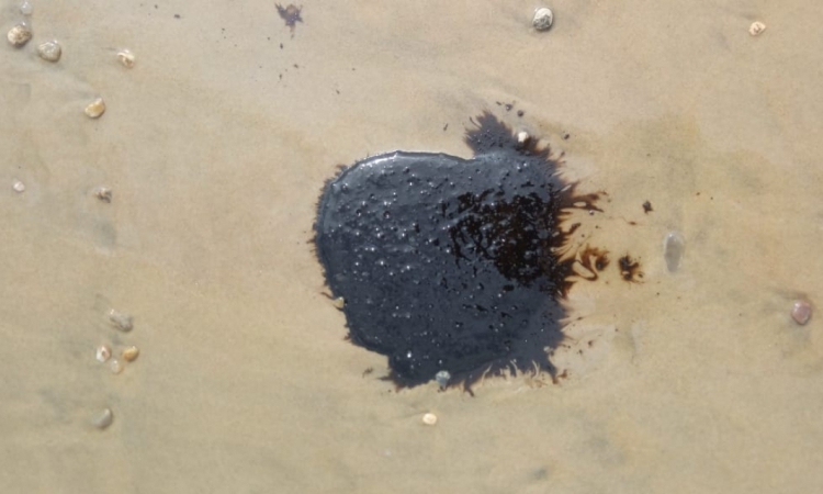 Petróleo encontrado na areia da praia de Guajiru, em Trairi, no Ceará