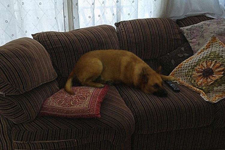 O filtro foi criado graças a recursos de realidade aumentada. (foto: Reprodução)