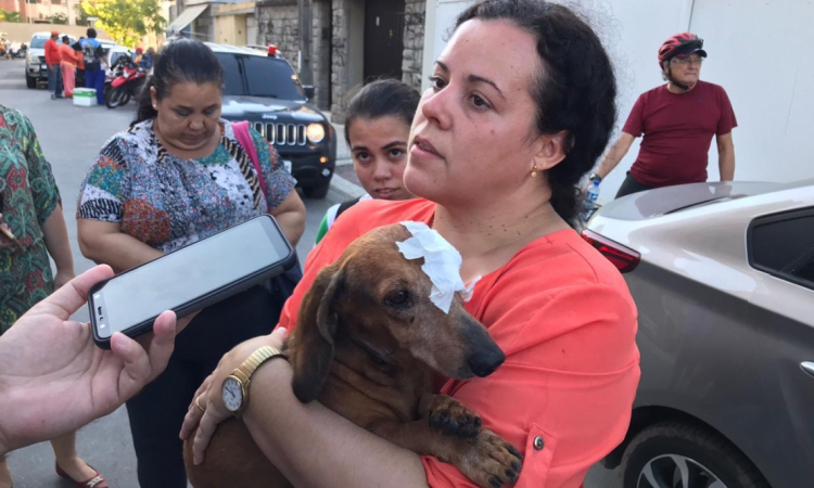 Lucky tinha 10 anos e era o &uacute;nico que estava no apartamento da fam&iacute;lia no momento do acidente