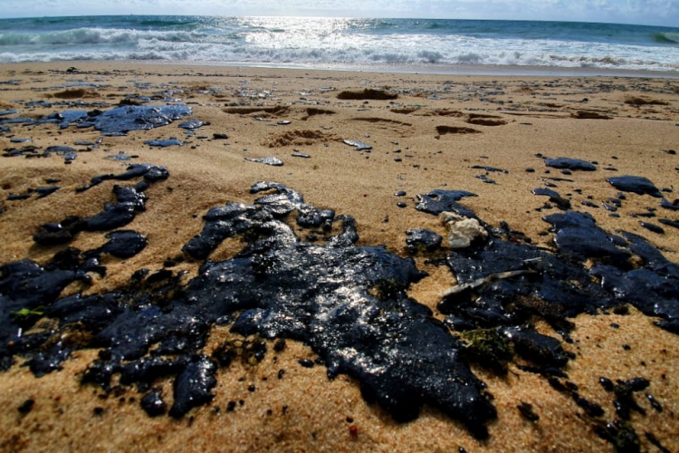 Óleo chega à praia de Muro Alto(foto: Arnaldo Carvalho/JC Imagem)