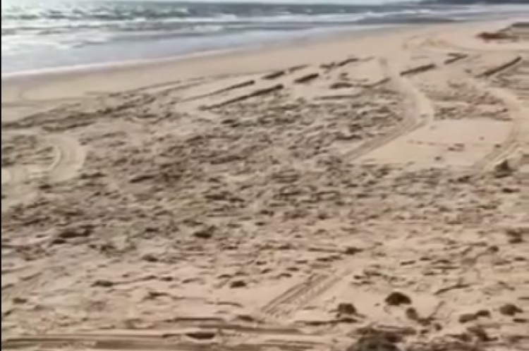 Foto: Óleo atingiu Canoa Quebrada no fim da tarde de quarta