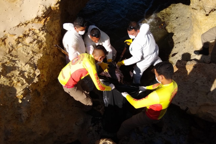 Óleo sendo recolhido em Fortim(foto: Aurélio Alves/O POVO)