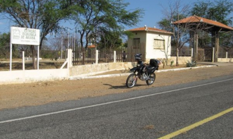 A Estação Ecológica de Aiuaba fica na região dos Inhamuns 