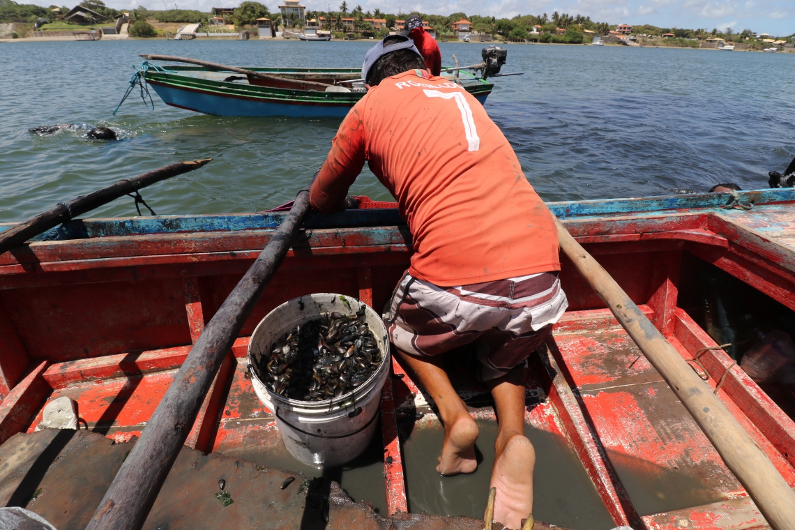 FORTIM, CE, BRASIL, 27.11.2019: Marisqueiros. Pesquisadores da Fiocruz coletam mariscos em Fortim para analise.  (Fotos: Fabio Lima/O POVO)