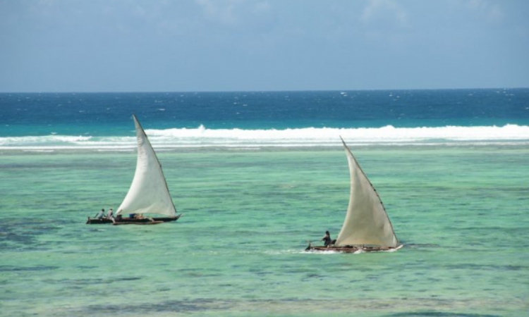   Praias paradisíacas de Zanzibar, na Tanzânia