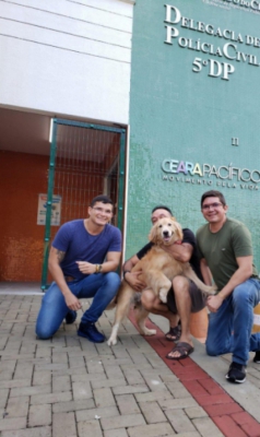 Cadela foi encontrada pelo trabalho dos policiais civis do 5 Distrito Policial Cadela foi encontrada pelo trabalho dos policiais civis do 5 Distrito Policial