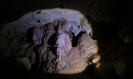 Inclusive, o Ceará tem 7 cavernas ocupadas por morcegos (até onde se sabe), localizadas em Ubajara, Aiuaba, Mangabeira e Crato.