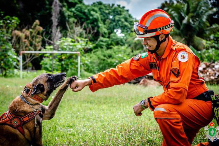 Argeu e Athos, parceiros há sete anos.