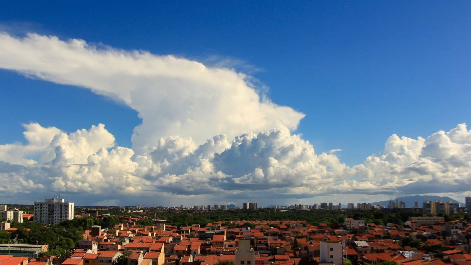 Foto de apoio ilustrativo: janeiro no Cear&aacute; deve abrigar chuvas irregulares, mal distribu&iacute;das e com acumulados abaixo da m&eacute;dia hist&oacute;rica


 (Foto:  Beatriz Boblitz/ O POVO em 27/03/2020)