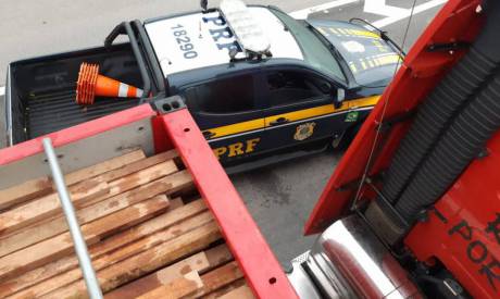 Veículo bitrem transportava madeira ilegal 