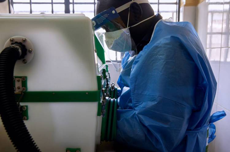 Amostras são analisadas em laboratório em estudos sobre coronavírus