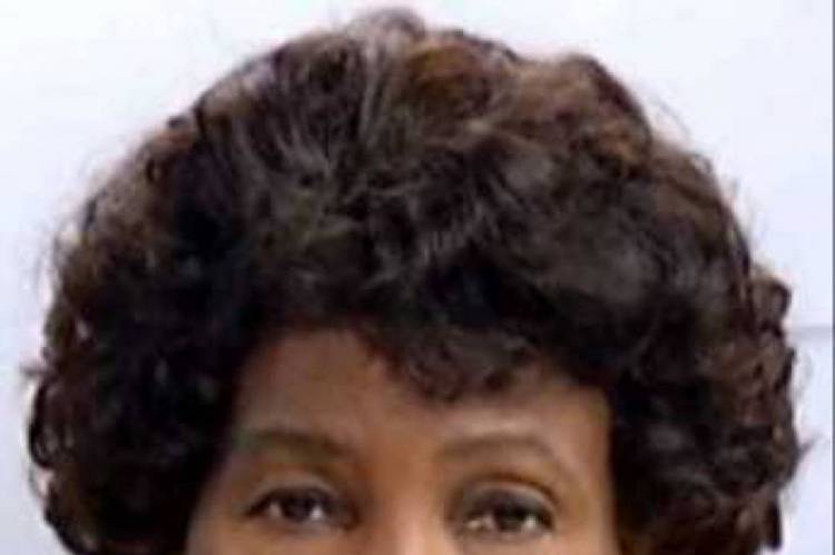 Nascida em 1930, em Barretos, no interior do estado, ela cursou Letras na Universidade de Mogi das Cruzes e foi para a capital paulista trabalhar como professora. Theodosina também atuou como diretora de escola e advogada