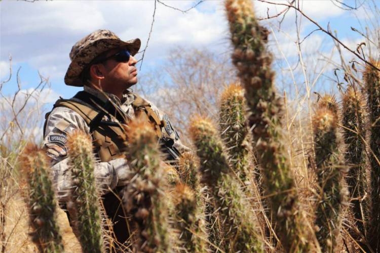 Policial do Comando Tático Rural (Cotar) em meio à caatinga do Nordeste. Crédito: @cotar_oficial