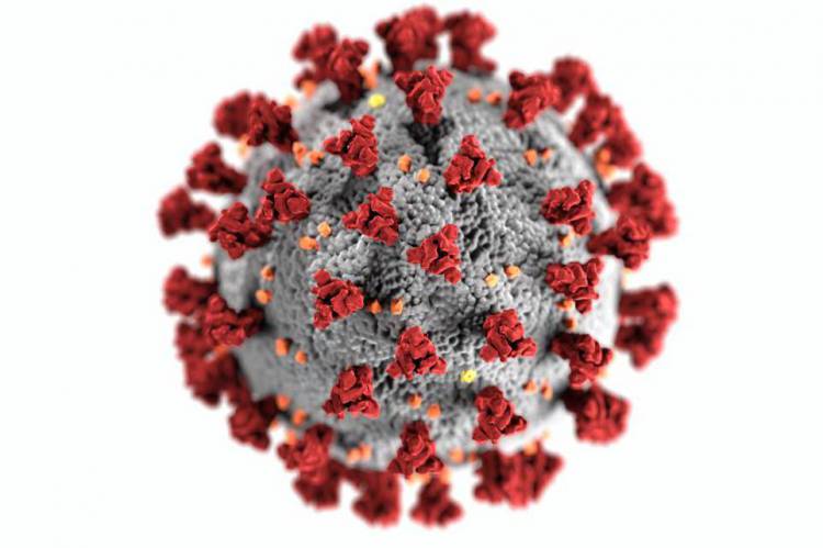 Imagem símbolo do novo coronavírus