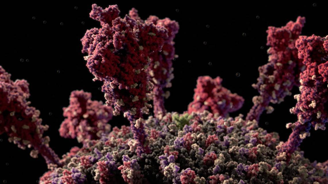 Medicamentos mostraram forte potencial de combate ao vírus (Foto: Reprodução/Visual Science)