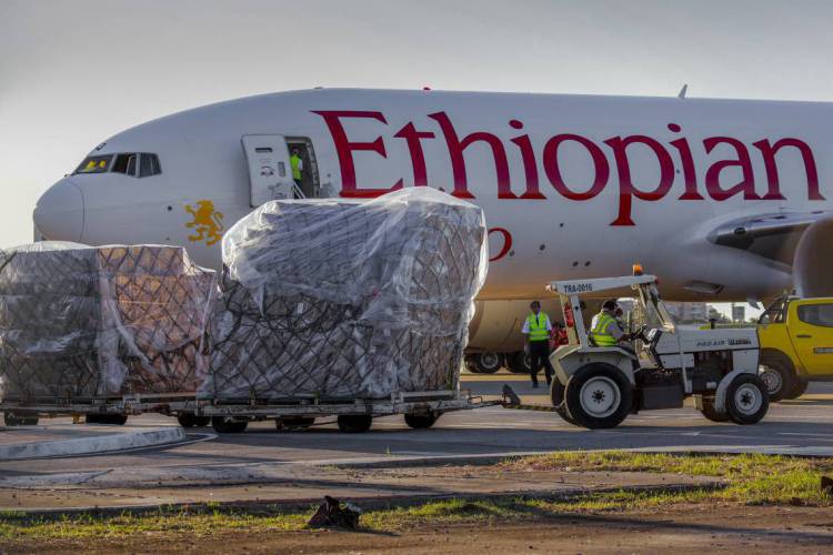 Fortaleza, Ceará Brasil 18.05.2020  Chegada de 200 respiradores me cânicos e 103,7 toneladas de equipamentos de proteção individual para combate à pandemia do covid-19   (FCO FONTENELE /O POVO) (Foto: FCO FONTENELE)