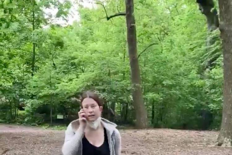 O episódio aconteceu em uma área do Central Park, em Nova Iorque, em que é obrigatório que os cachorros usem coleira.