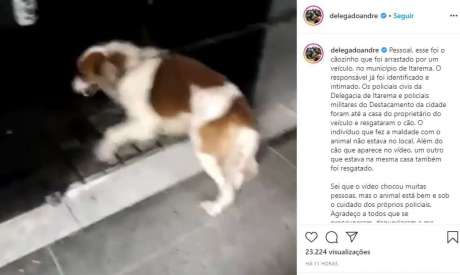 Imagem do Instagram do titular da SSPDS, André Costa, que traz o cachorro resgatado  