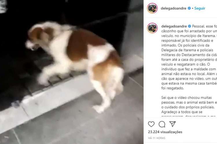 Imagem do Instagram do titular da SSPDS, André Costa, que traz o cachorro resgatado  (Foto: Arquivo Pessoal)