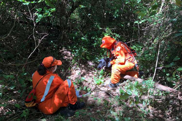 O idoso foi encontrado em uma vala, após cair e não conseguir sair, em Aquiraz. (Foto: Divulgação/CBMCE)