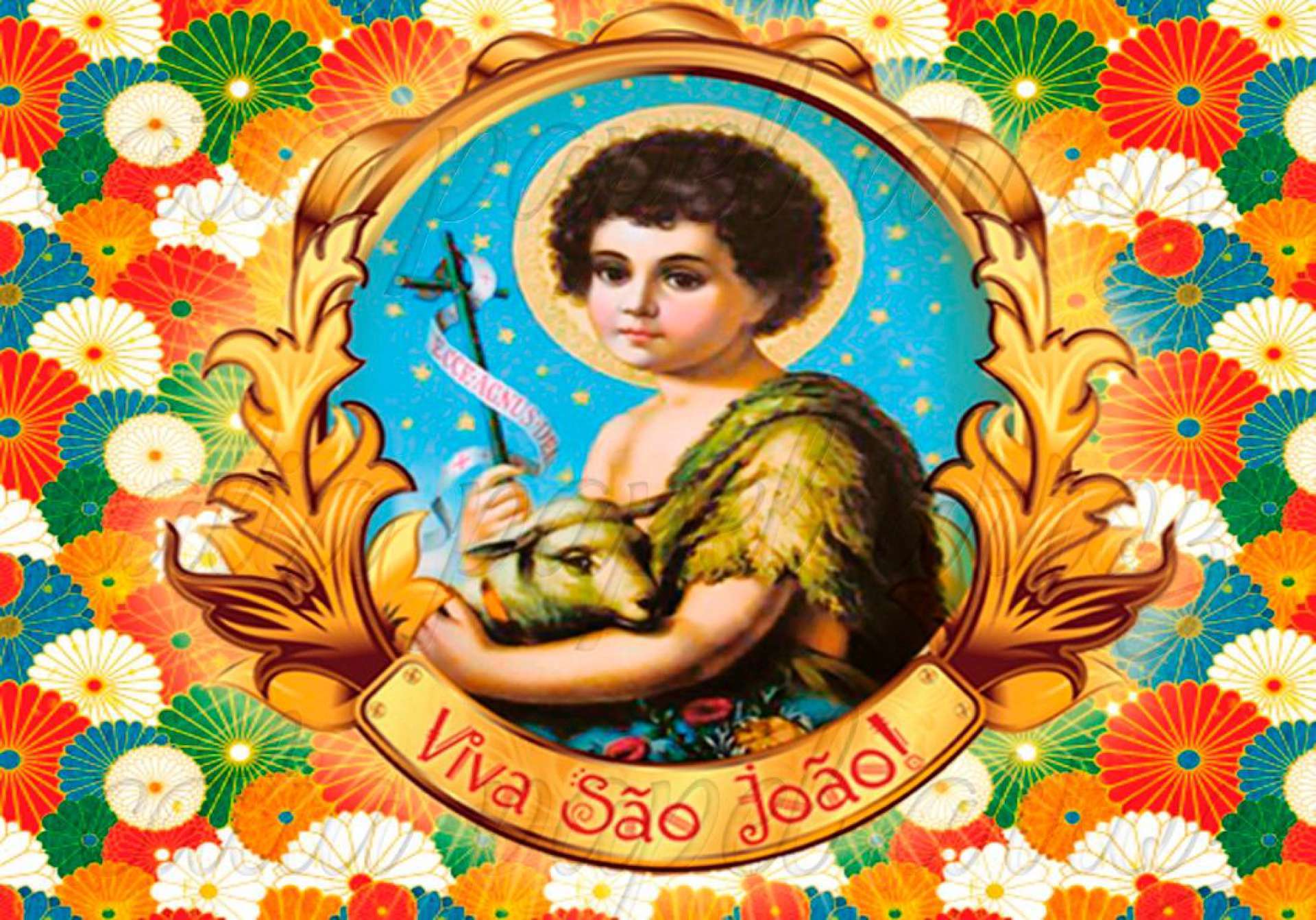 Hoje é Dia de São João | eliomar-de-lima | OPOVO+