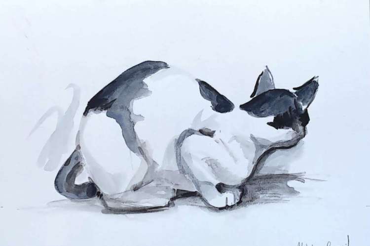 Aquarela Aléxia Brasil. Gata, 2020, aquarela em papel, formato A3